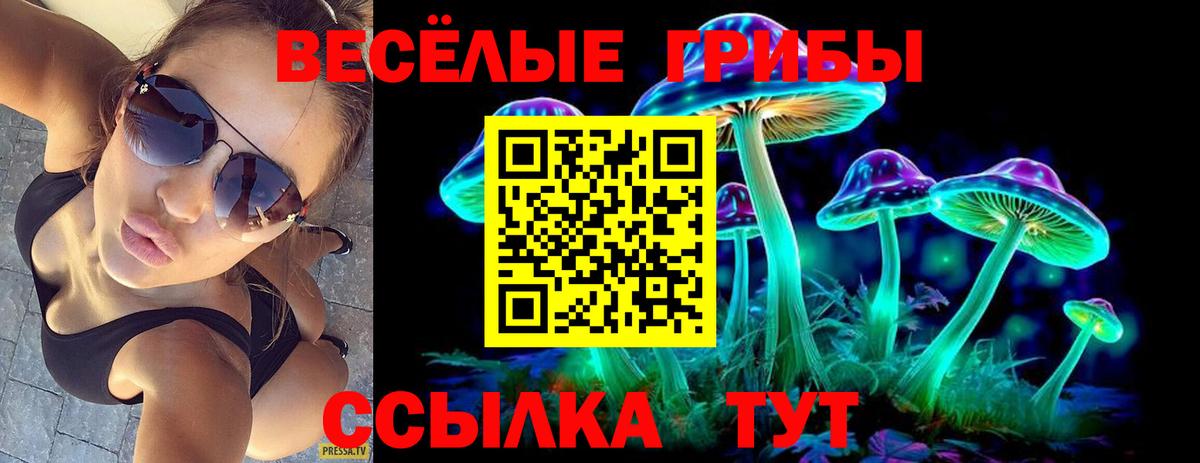 Екатеринбург  Псилоцибиновые грибы Magic Shrooms  Псилоцибиновые грибы мицелий  Вход с VPN 