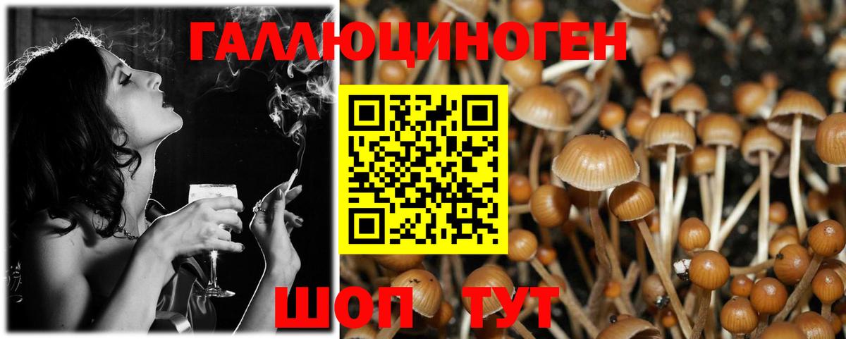 Псилоцибиновые грибы мухоморы Екатеринбург